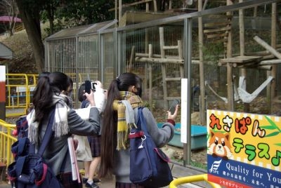 総合進学コース1年　池田動物園へ