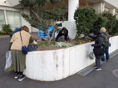 環境美化委員会による花壇の草抜き実施