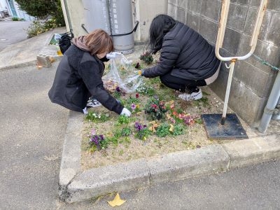 環境美化委員会による花壇の草抜き実施