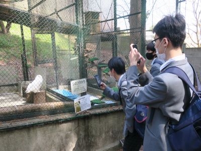 総合進学コース２年生(生命動物系・アニメ・デザイン系)池田動物園に見学実習へ