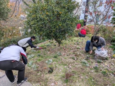 環境美化委員会による花壇の草抜き実施