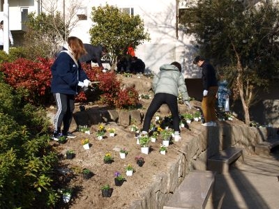 環境美化委員会による花植え実施