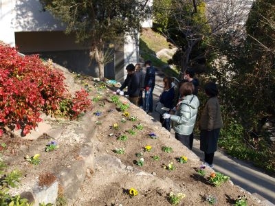 環境美化委員会による花植え実施