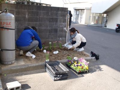 環境美化委員会による花植え実施