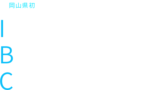 International Baccalaureate Course