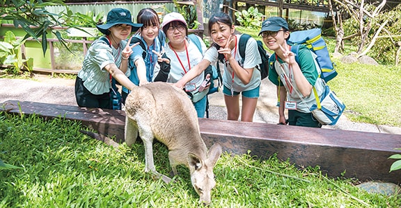 カンガルーに触れる学生たち
